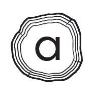 Ayla & Co Gift Card