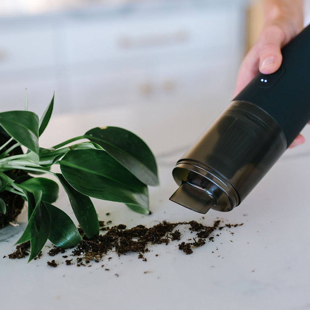 Black Ayla Bag & Vacuum Bundle